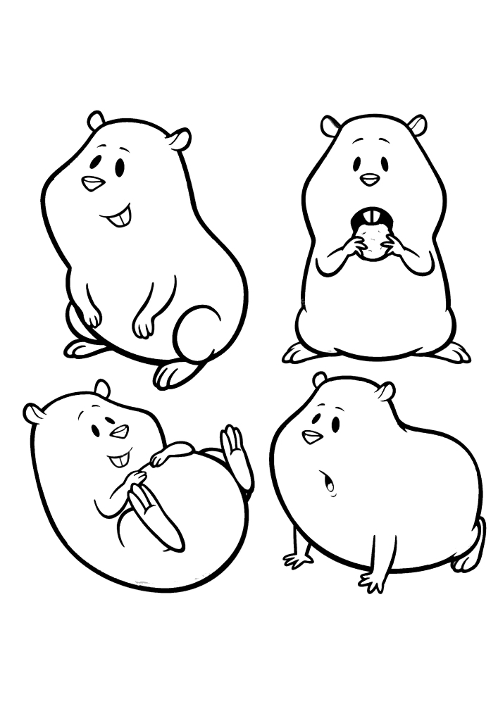 Four different hamster images in one coloring book