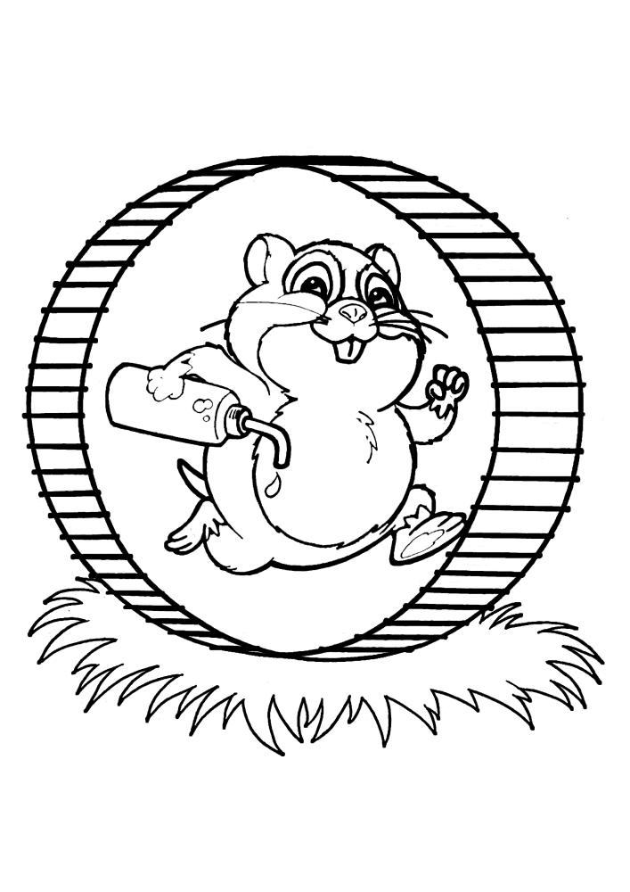Hamster goes in for sports, running on the wheel-coloring book