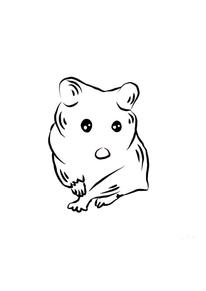 Cute hamster-front view