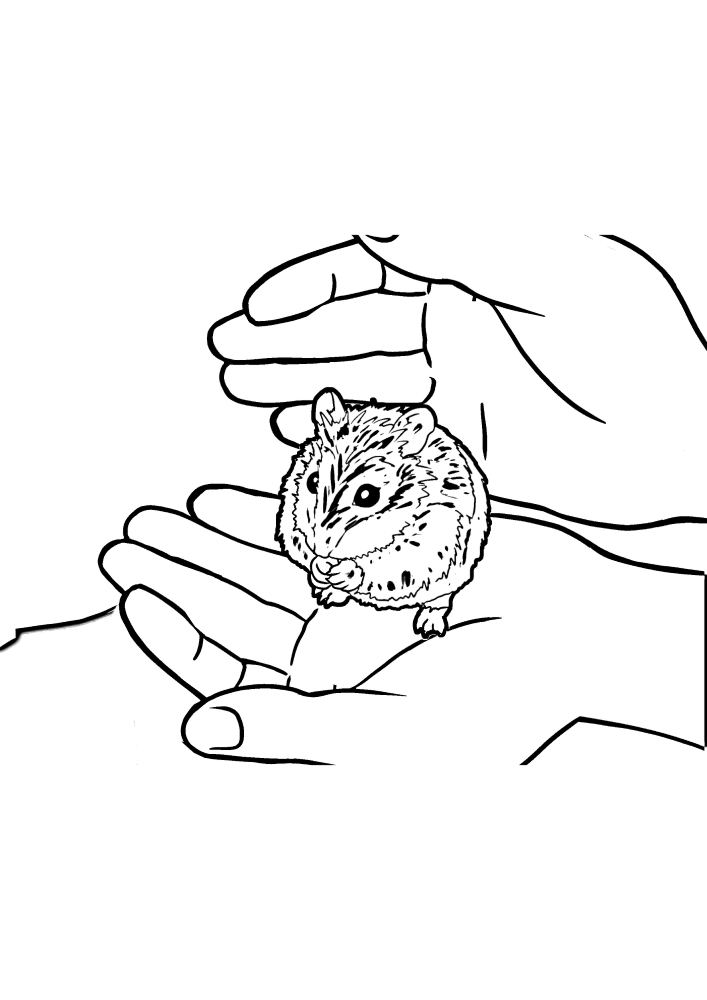 Cute hamster sitting on his hands-coloring book