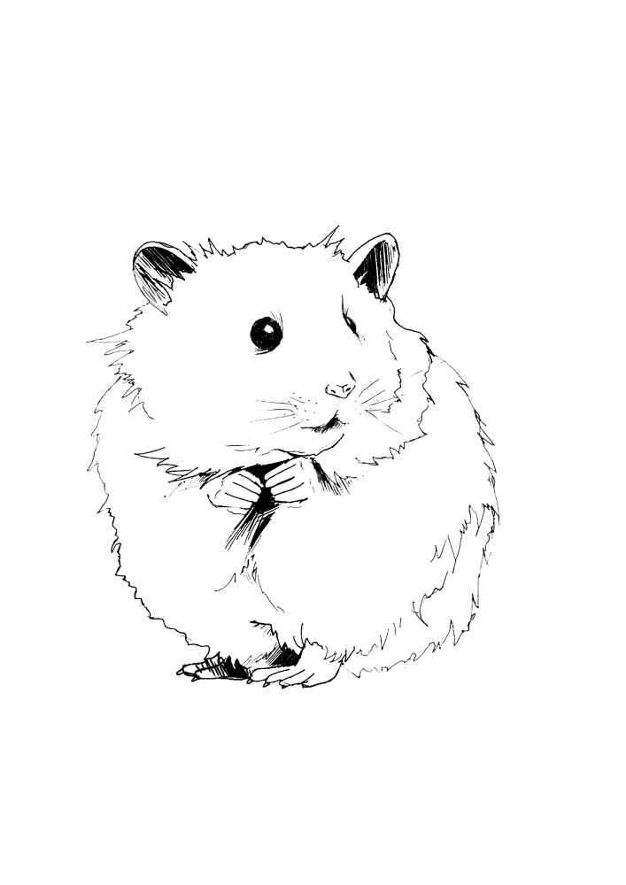 Hamster curvy