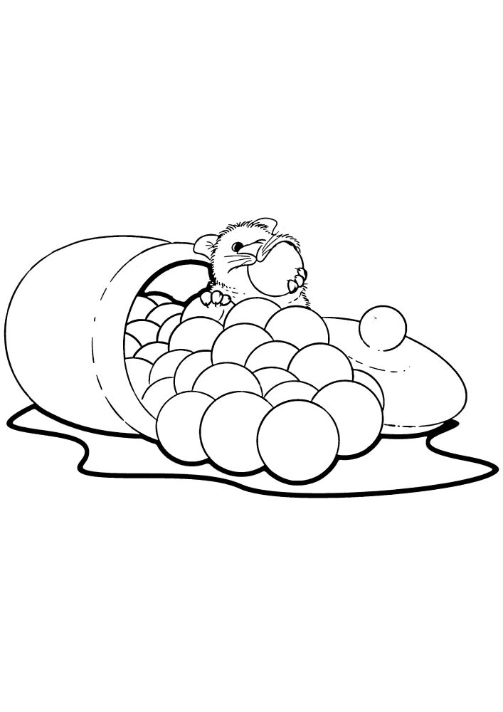 Hamster encontrou um grande número de estoques de alimentos
