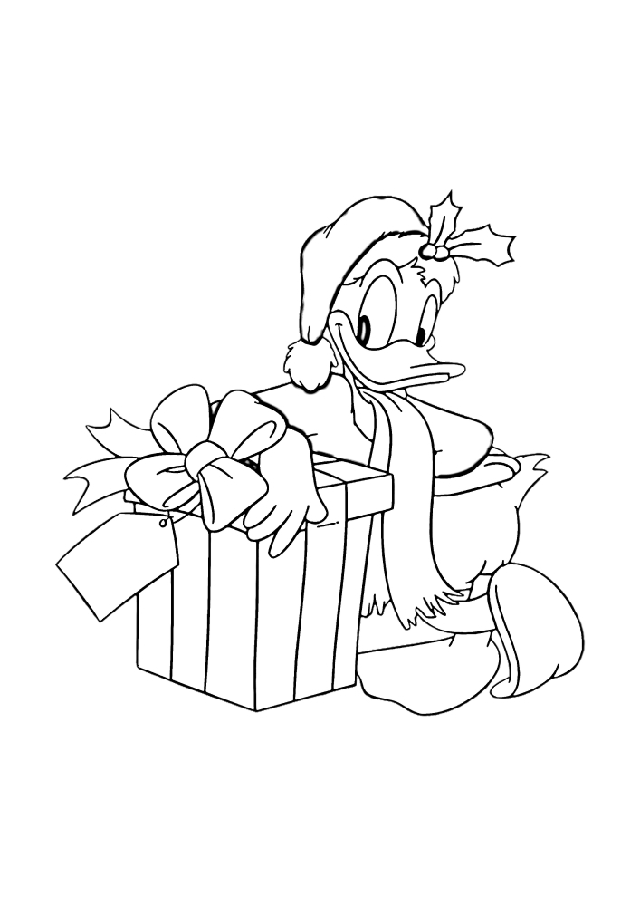 Donald Duck hat ein großes Geschenk verpackt
