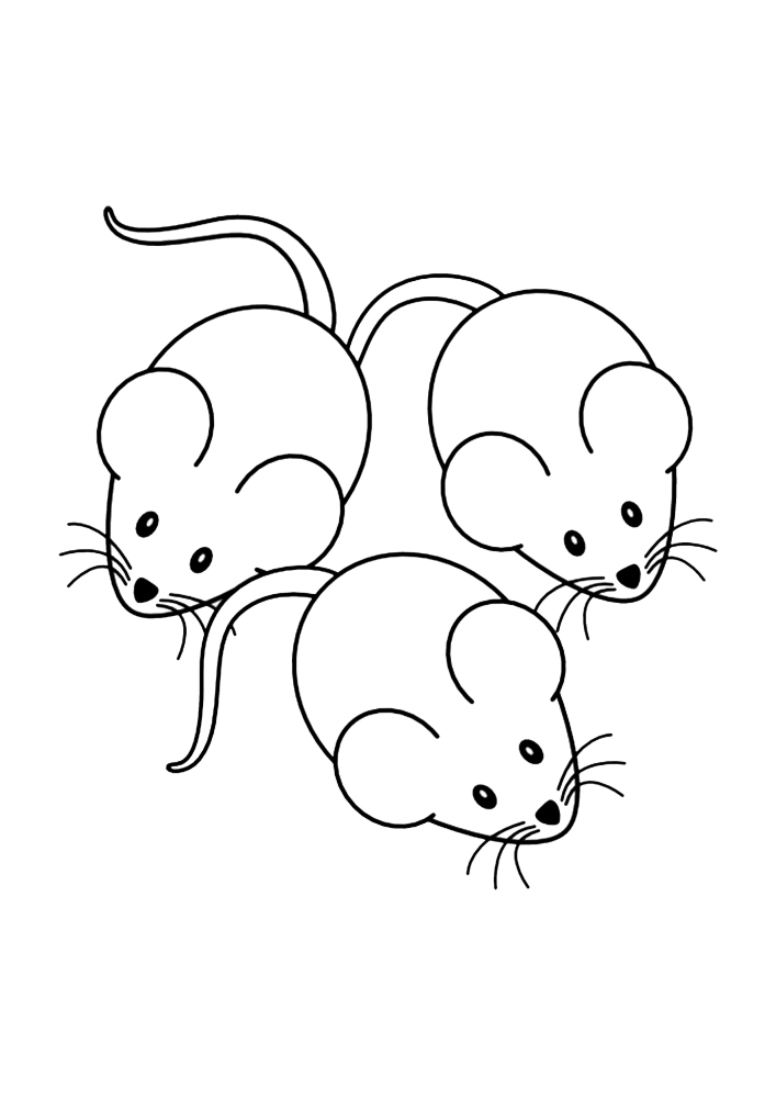 Три мышки - раскраска