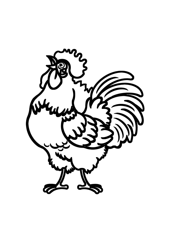 Domestic poultry