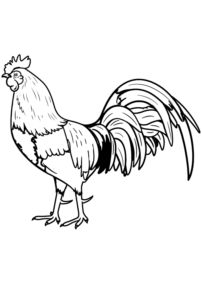 Rooster-detailed coloring book