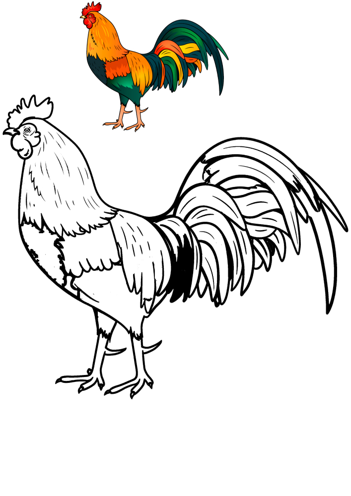 Rooster-coloring book with a sample of coloring