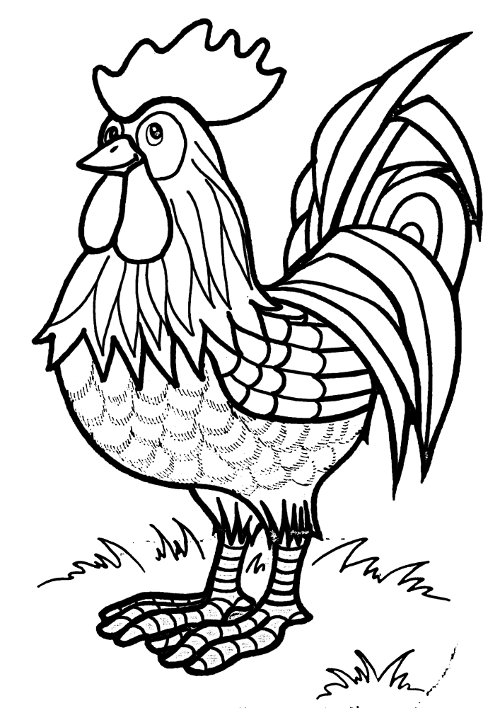 Hahn ruft Huhn auf ein Datum-Coloring