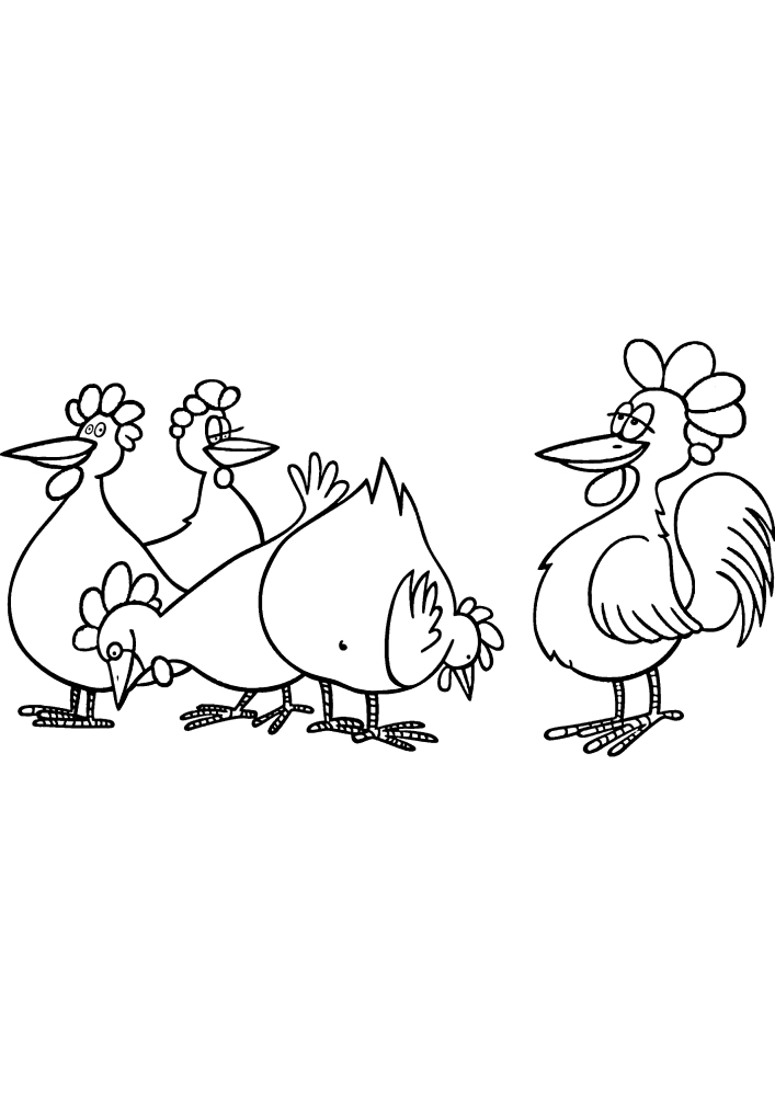 Hahn bewacht mehrere Hühner