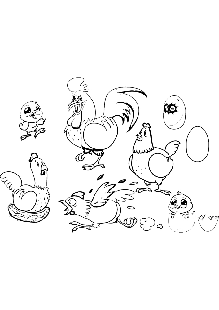 Différentes images dans une image - un ensemble détaillé de poulets et de coqs.