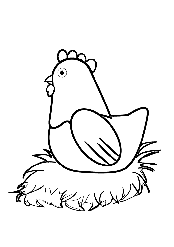 Chicken sitting on eggs-coloring book