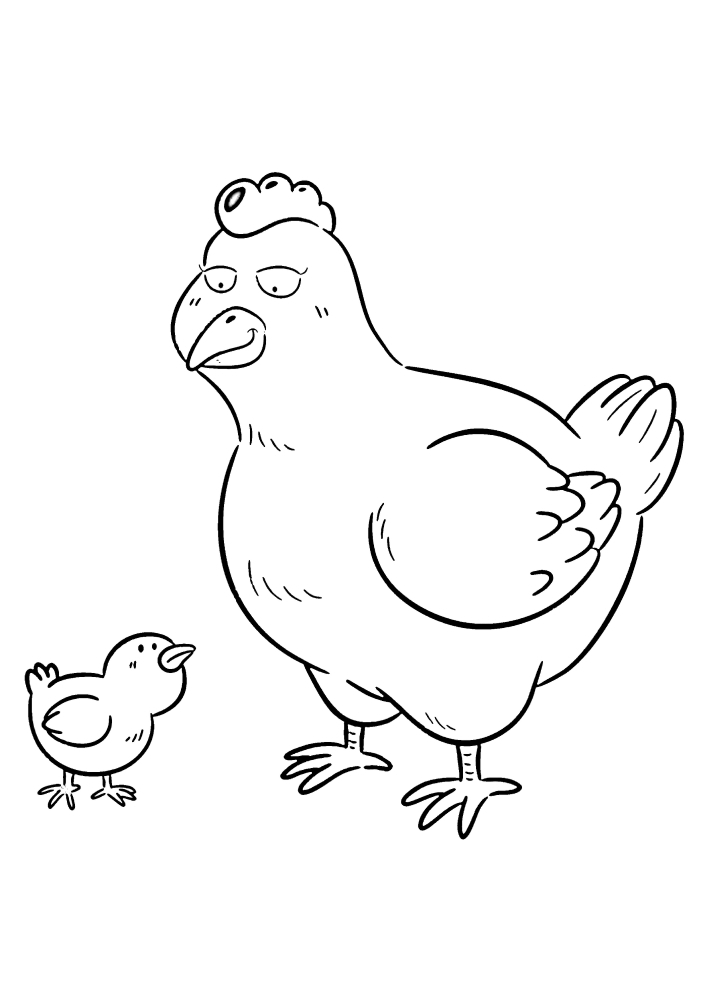 The hen looks at the chicken - it's her baby