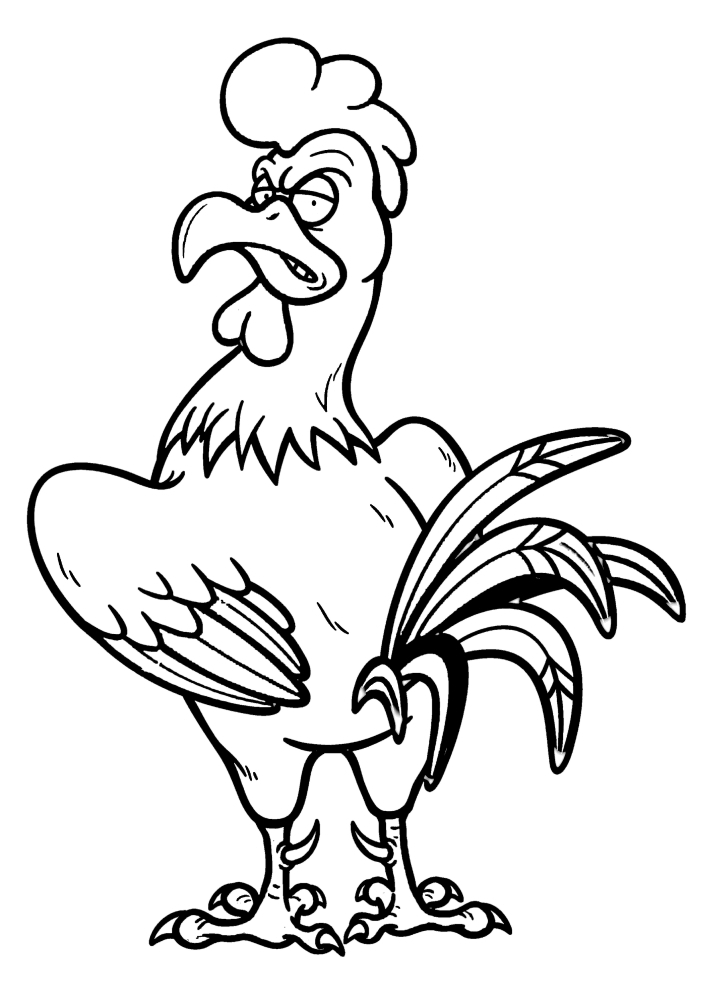 Angry Rooster-coloring book