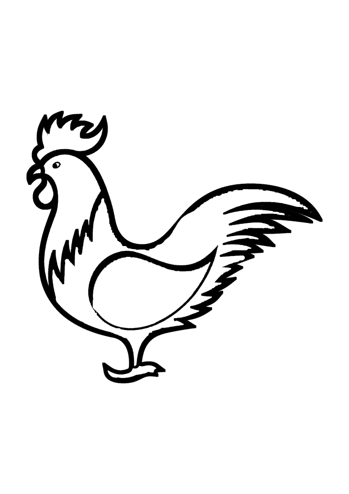 Schwarz-Weiß-Bild eines Hahns an der Seite