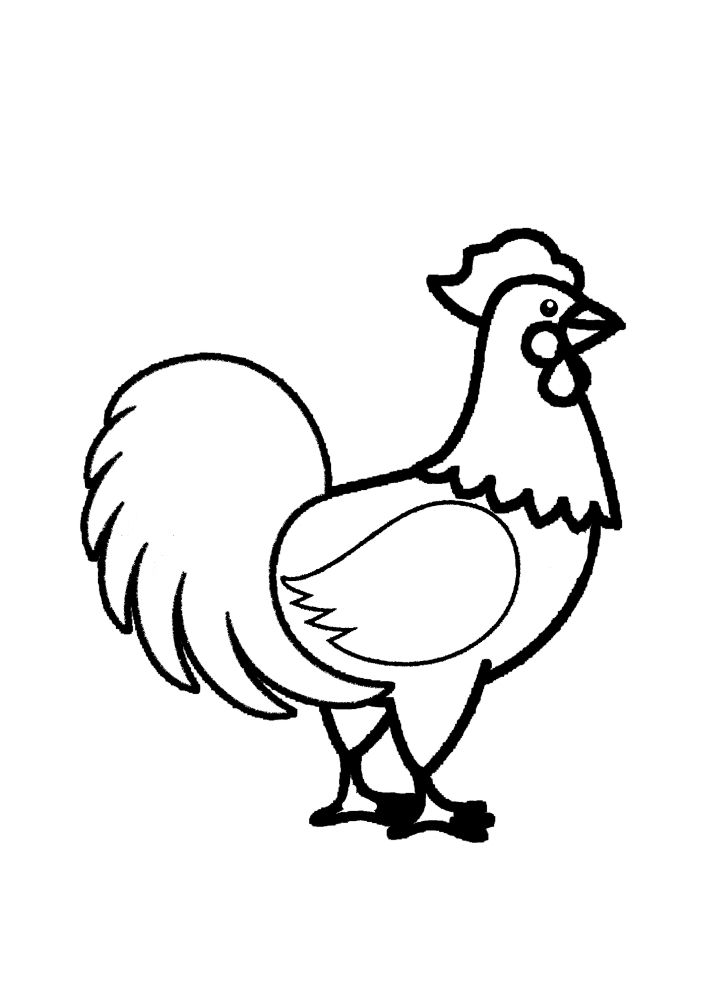 Der Hahn schreit den Hühnern zu, damit sie essen gehen.