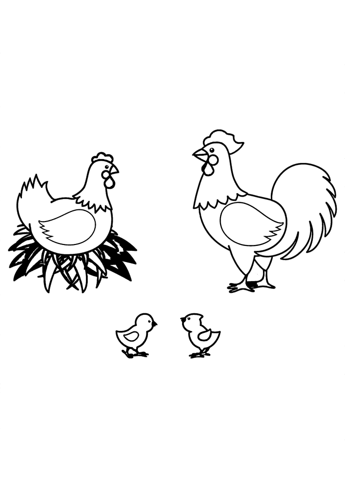 Chicken, rooster and two chickens-coloring book for kids