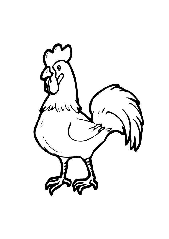 Huhn und Gans-Malbuch für Kinder