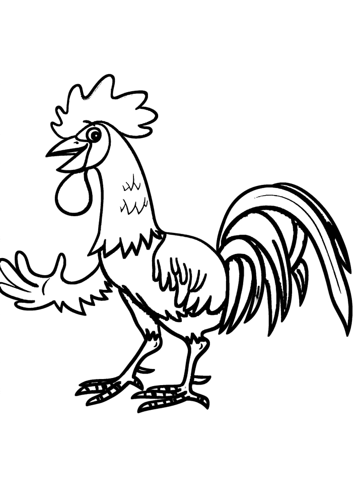 Rooster-Black and white image for kids