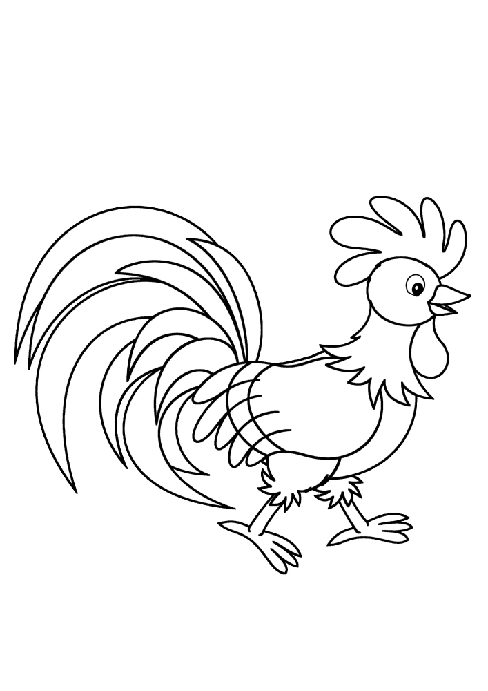 Rooster-coloring book for kids
