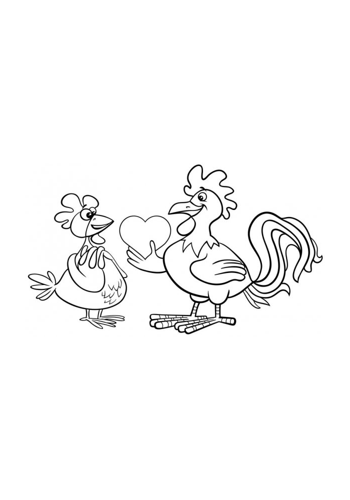 The rooster confesses his love to the hen
