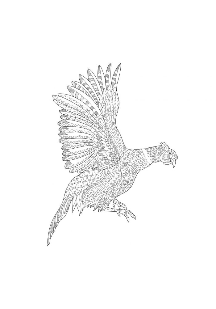 Flight of a feathered Bird-antistress coloring book