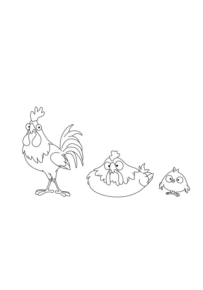 Петух, курица и цыплёнок - раскраска для детей
