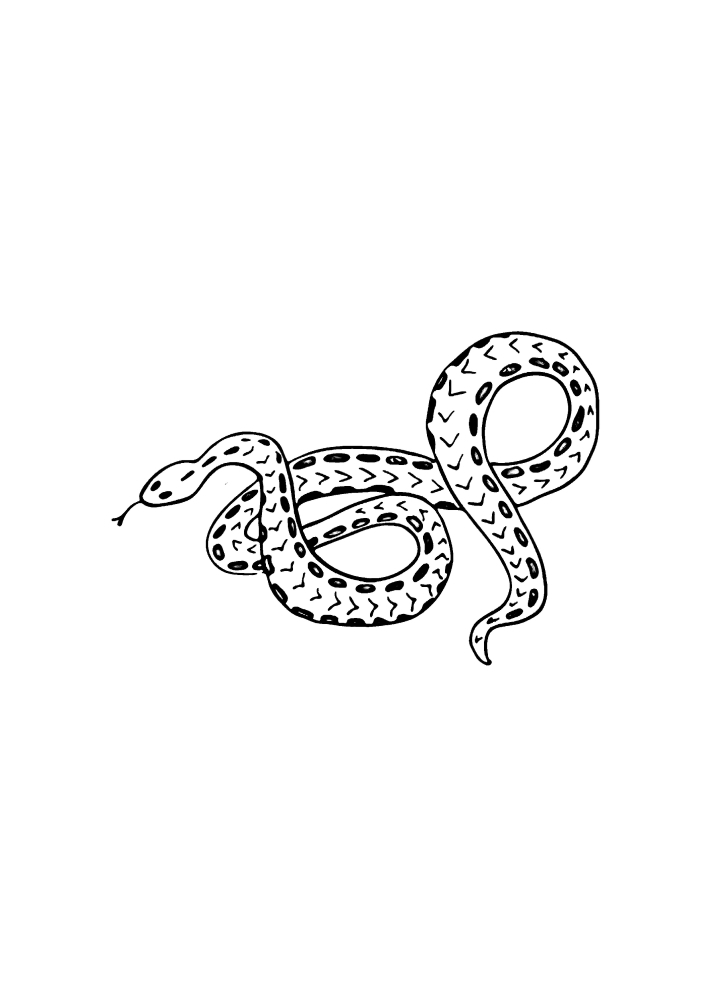 Красивая змея - чёрно-белое изображение
