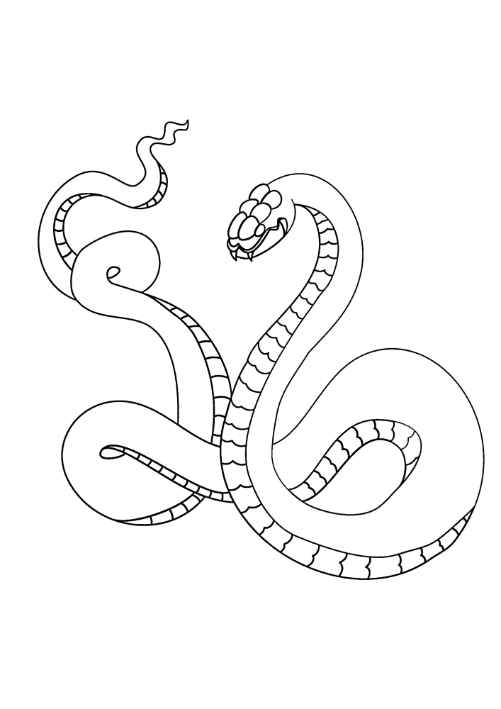 Esta serpiente pesa mucho , es evidente por su Tamaño