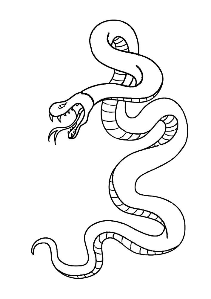 Pitkä käärme