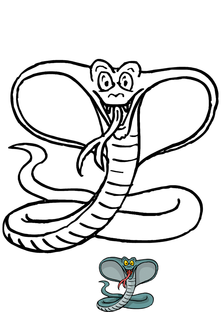 Cobra coloring book and suggested color options