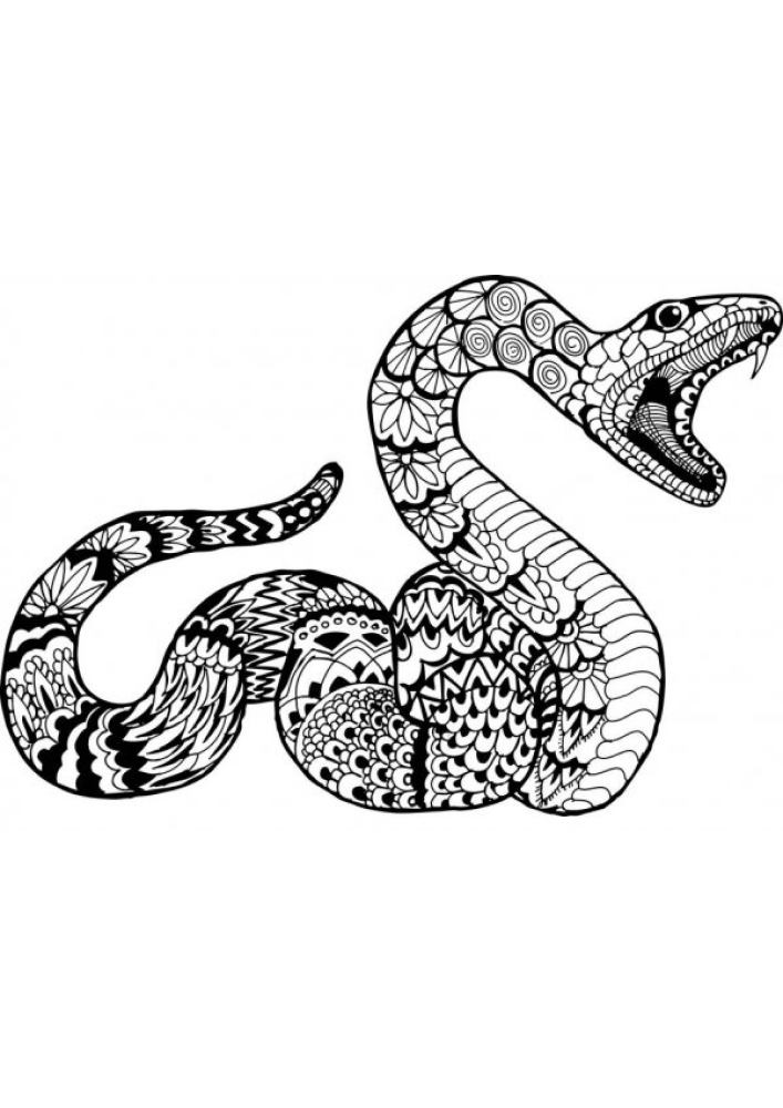 Yksityiskohtainen käärme värityskirja