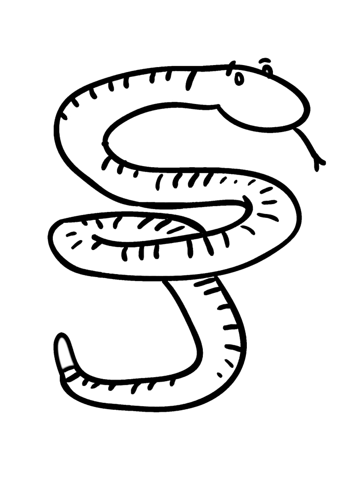 Змея - раскраска для малышей