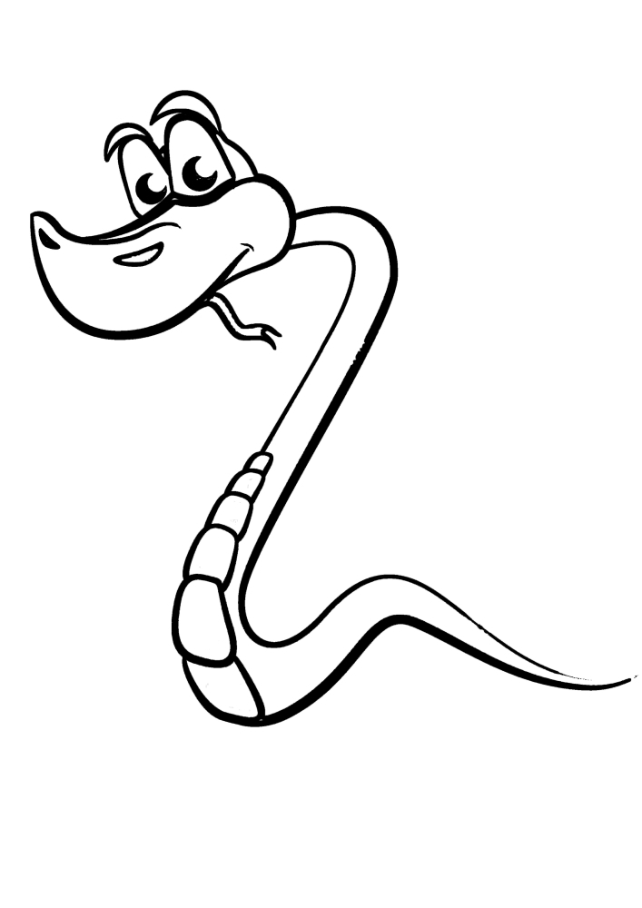 A thin snake.