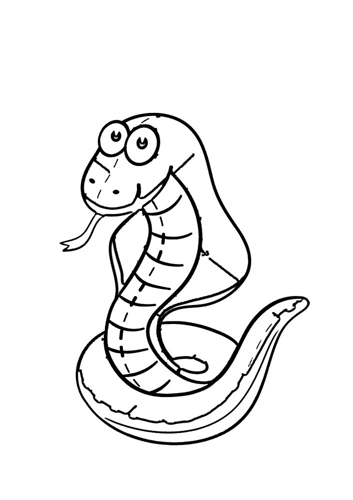 Посередине языка у змей есть разрез