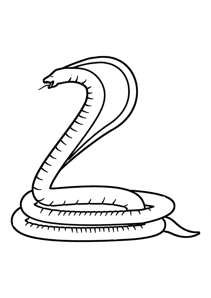 Serpent - vue latérale