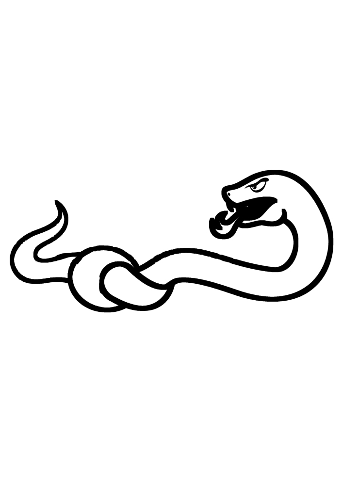 The snake is angry because its tail is tangled