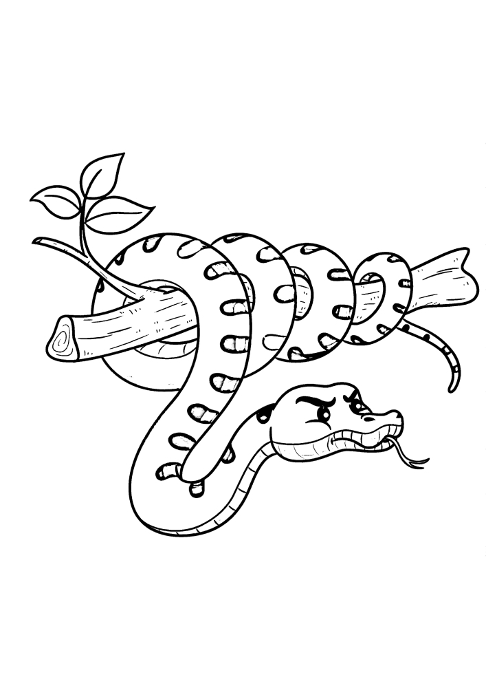 Käärme kietoutuu oksan ympärille-värityskirja