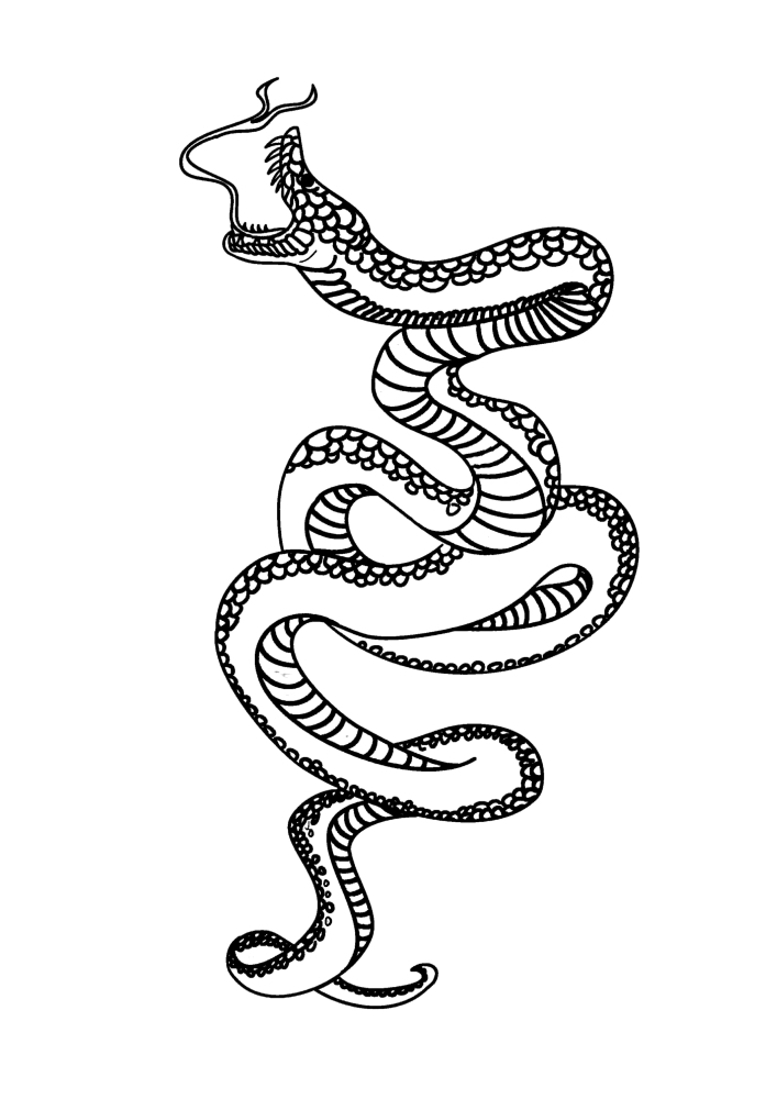 Long serpent bouche ouverte