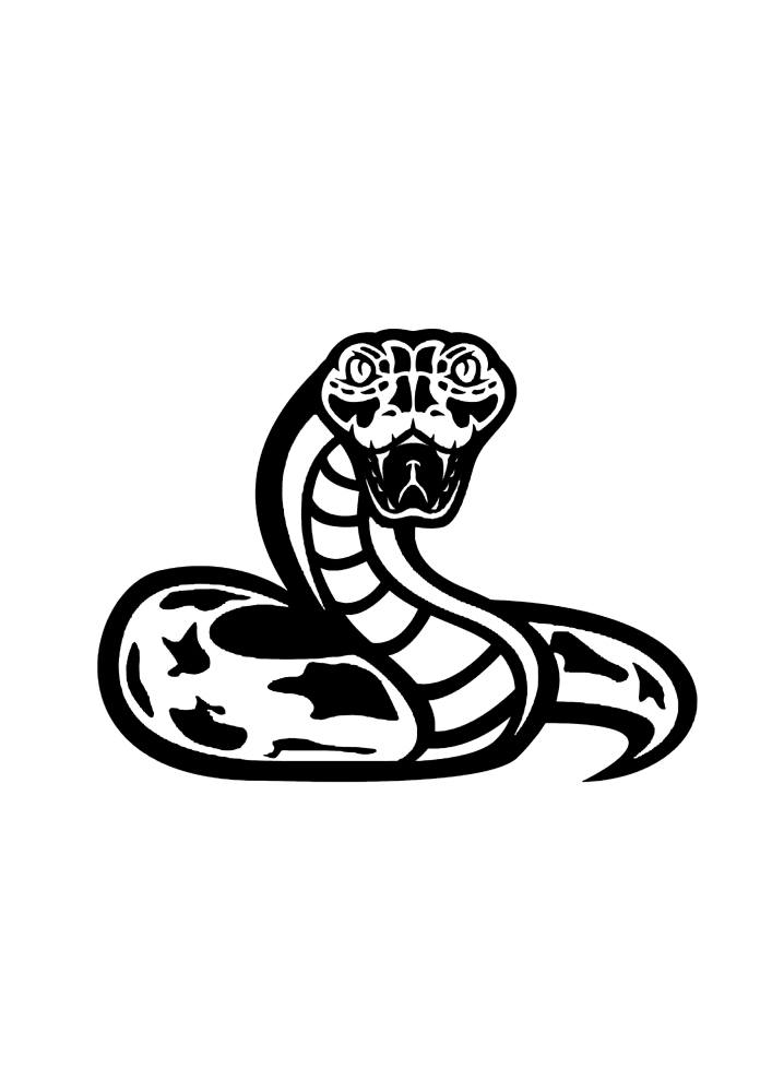 Змея - вид спереди